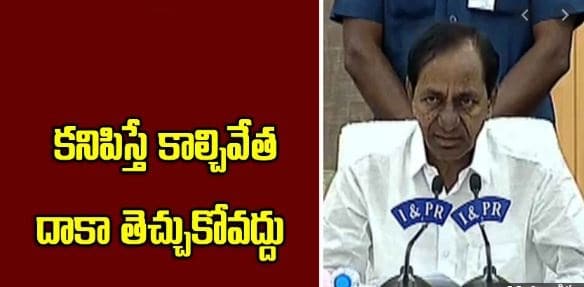 cm kcr press meet