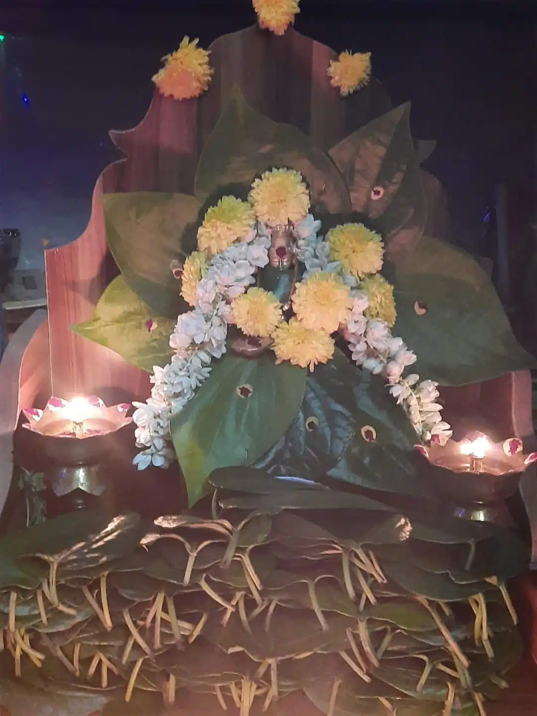 Shyamala Navaratrulu